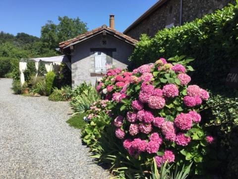 Loft Atypique Bed & Breakfast Villeneuve-de-Rivière Dış mekan fotoğraf