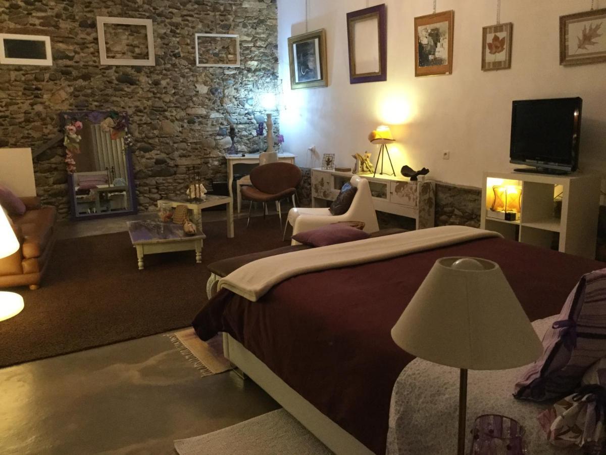 Loft Atypique Bed & Breakfast Villeneuve-de-Rivière Dış mekan fotoğraf